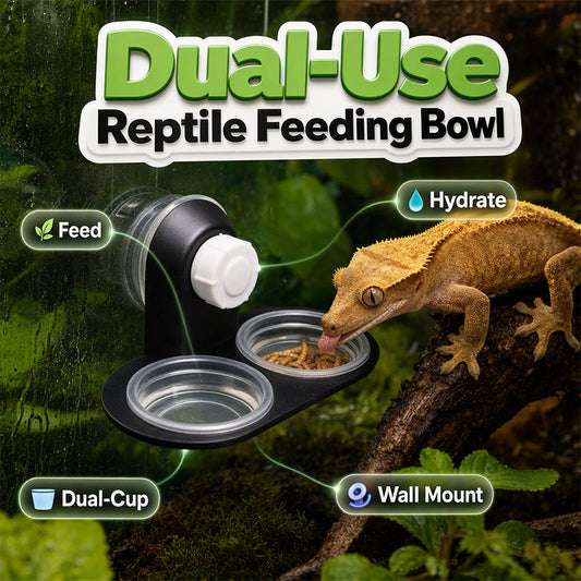 📢📢JETZT 50 % RABATT!! ⏰Doppelter Futter- und Wassernapf für Reptilien mit Saugnapfbefestigung