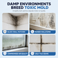 📢Wall Mold & Mildew Remover Spray 240ml, Quick Stain Removal for Painted Walls and Wallpaper🧱